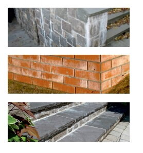 Estetika bez vápenných škvŕn: Profesionálny prípravok Eksil EC-22